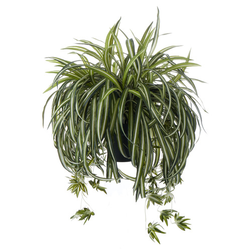 49cm Potted Faux Spider Plant Temple & ster