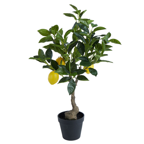 60cm Potted Faux Lemon Tree | Temple & Webster