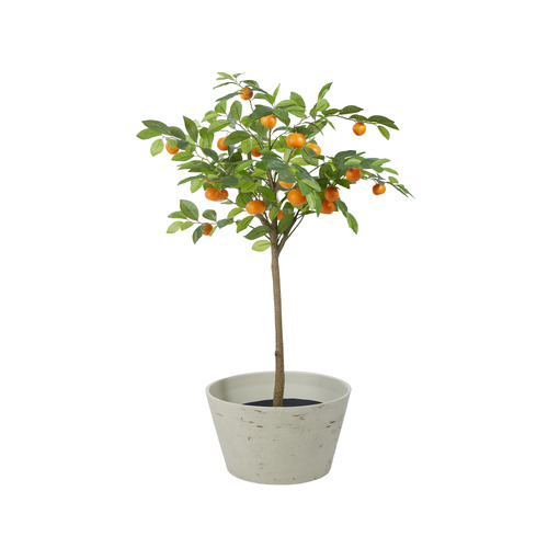 Arkian Planter Pot
