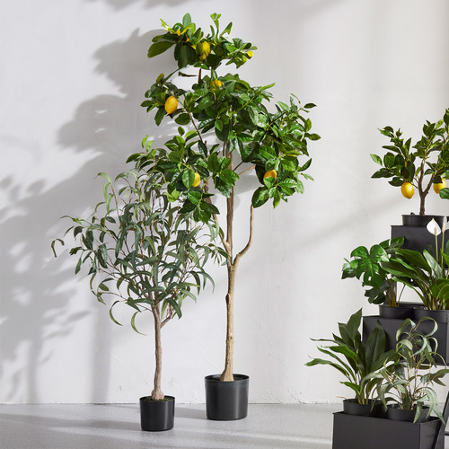 180cm Potted Faux Lemon Tree Temple & ster