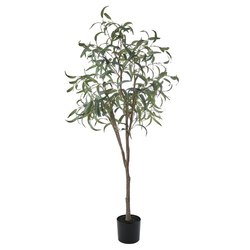 180cm Potted Faux Eucalyptus Tree