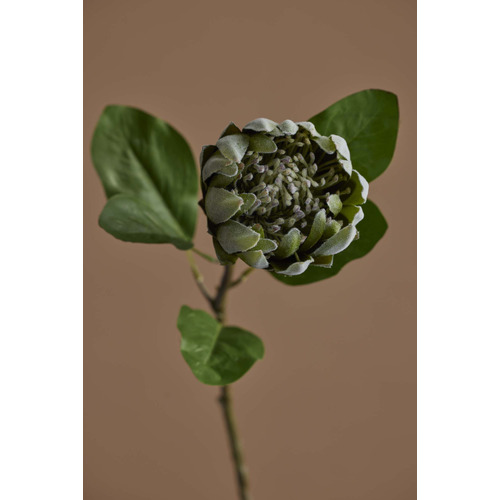 79cm Faux Protea Stem
