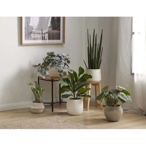 47cm Potted Faux Staghorn Fern