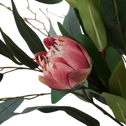 69cm Faux Mixed Protea & Eucalyptus in Glass Vase