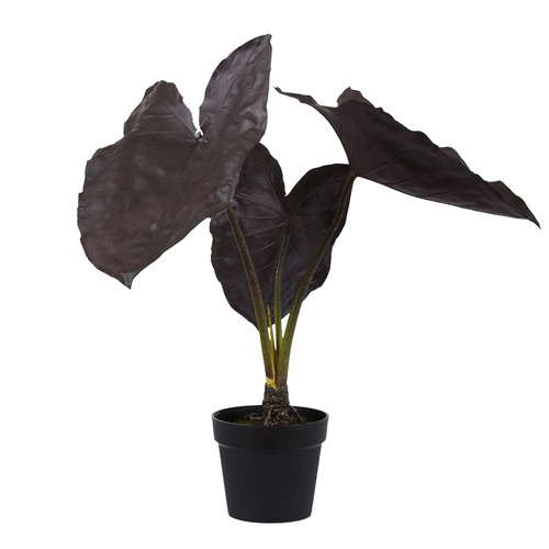 82cm Potted Faux Alocasia Plant