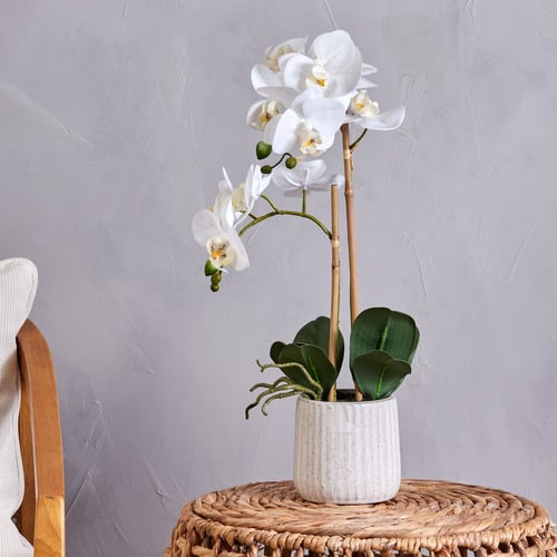 48cm Potted Faux Butterfly Orchid Plant