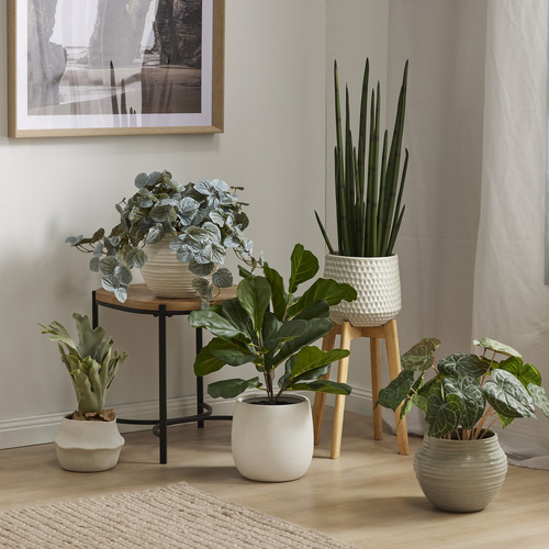 Cooper Ceramic Planter with Rubber Wood Stand