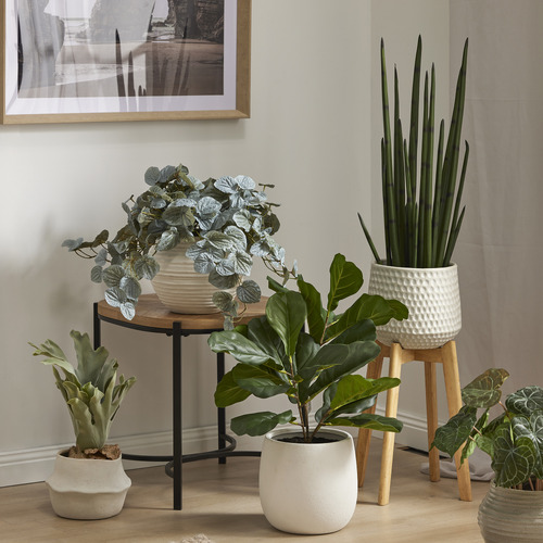 Cooper Ceramic Planter with Rubber Wood Stand