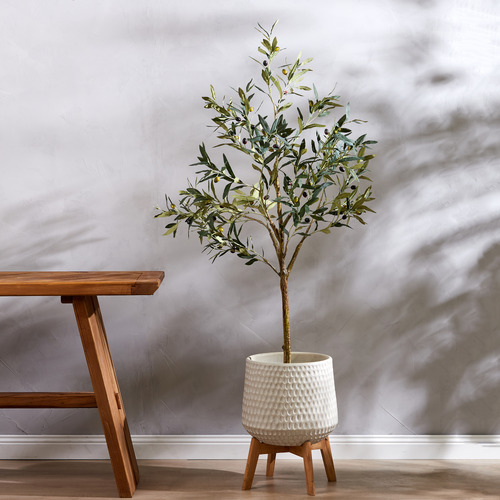 The Home Collective 152cm Potted Faux Olive Tree | Temple & Webster