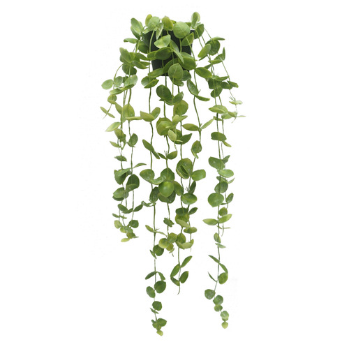 The Home Collective 90cm Potted Faux Hanging Coin Leaf | Temple & Webster