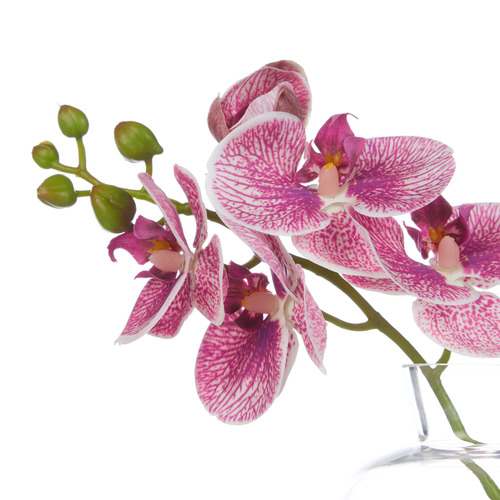 23cm Purple Faux Orchid Stem with Glass Vase