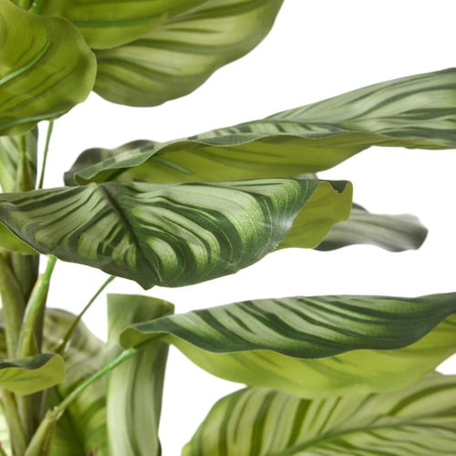 91cm Potted Faux Calathea Plant