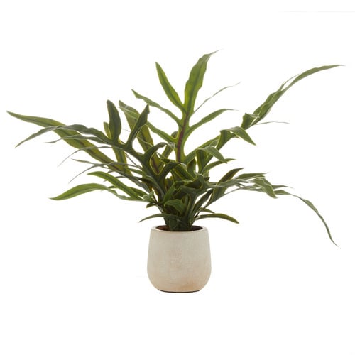 39cm Potted Faux Blue Star Fern Plant