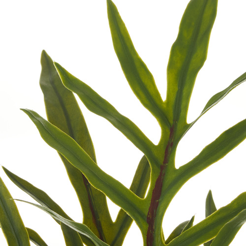 39cm Potted Faux Blue Star Fern Plant