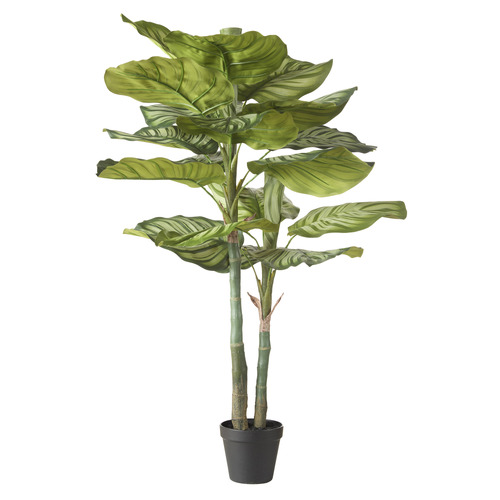 91cm Potted Faux Calathea Plant