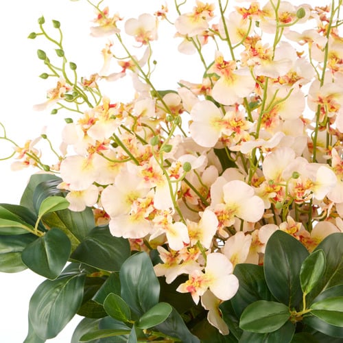 49cm Faux Dancing Orchid with Glass Vase