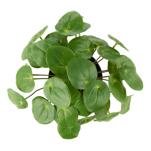 25cm Potted Faux Pilea