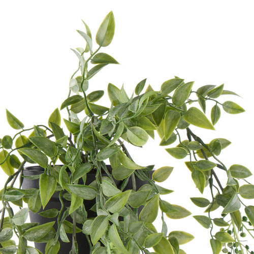 66cm Potted Faux Hanging Budding Bush