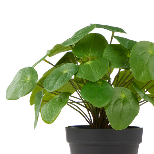 25cm Potted Faux Pilea