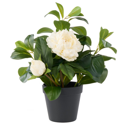 38cm Potted Faux Peony Lush Leaf