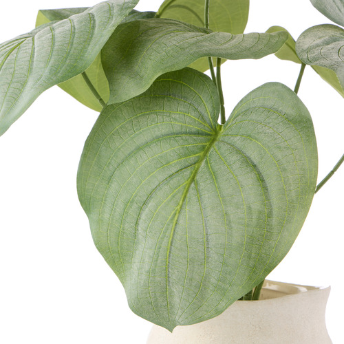 57cm Potted Faux Hosta