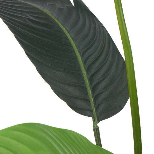 145cm Potted Faux Bird of Paradise