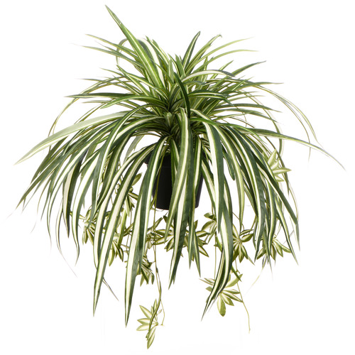 60cm Potted Faux Spider Plant