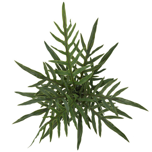 81cm Potted Faux Blue Star Fern