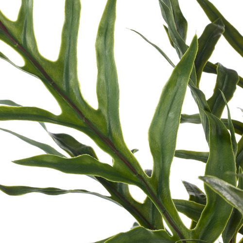 81cm Potted Faux Blue Star Fern