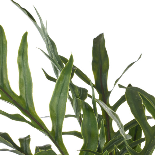 81cm Potted Faux Blue Star Fern