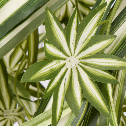 60cm Potted Faux Spider Plant