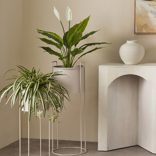 60cm Potted Faux Spider Plant