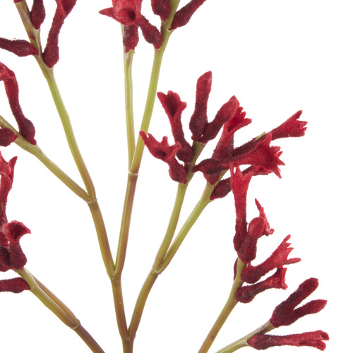 77cm Red Faux Kangaroo Paw Spray