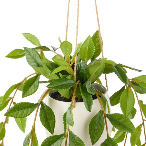 36cm Potted Faux Hanging Lush Leaf