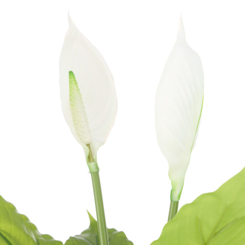 78cm Potted Faux Peace Lily