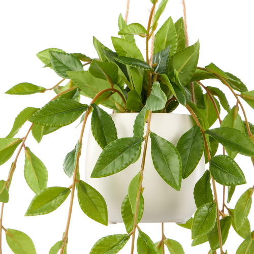 36cm Potted Faux Hanging Lush Leaf