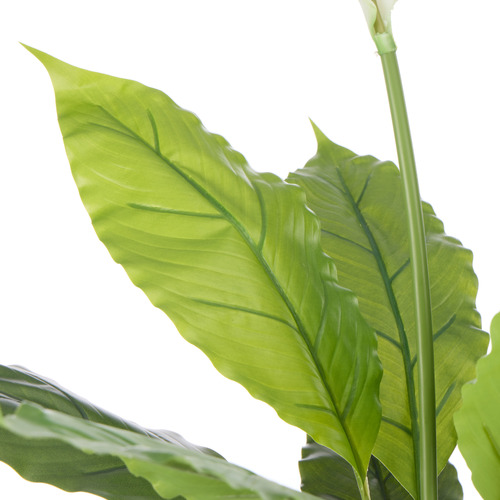 78cm Potted Faux Peace Lily
