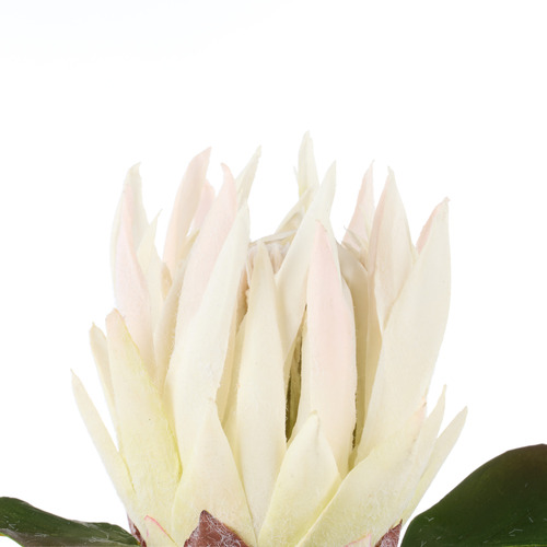 60cm Faux King Protea Stem