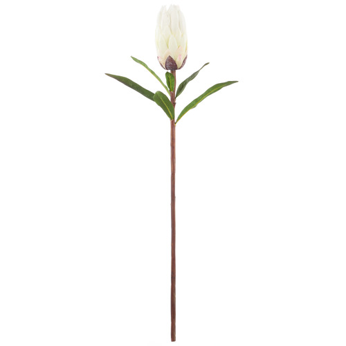 61cm White Faux Protea Stem
