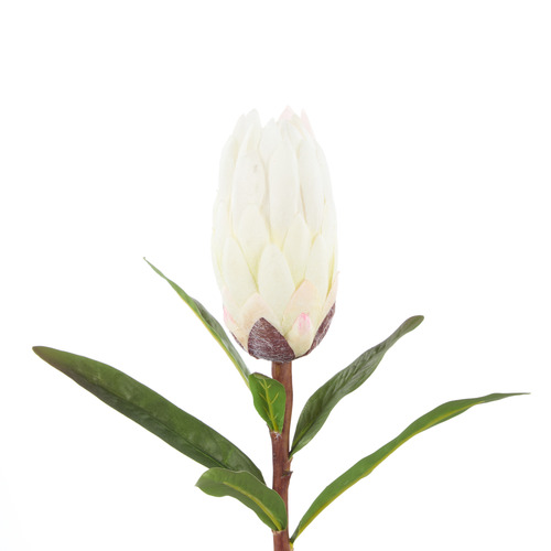 61cm White Faux Protea Stem