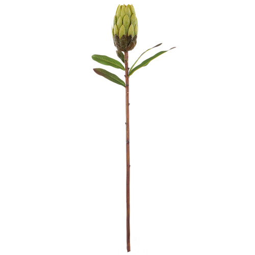 61cm Green Faux Protea Stem