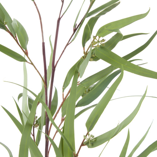 13cm Faux Eucalyptus Spray
