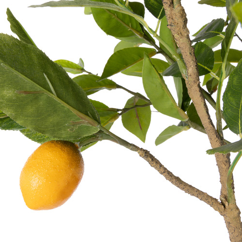 92cm Faux Lemon Tree Branches In Glass Vase