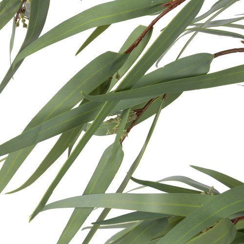 67cm Potted Faux Eucalyptus Nicholii Plant