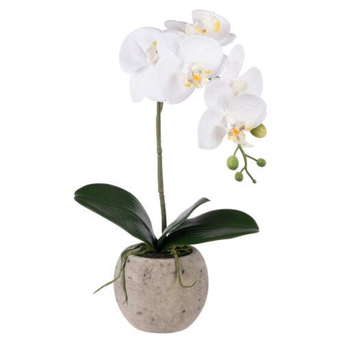 48cm Potted Faux Phalaenopsis Orchid