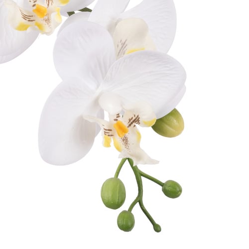 48cm Potted Faux Phalaenopsis Orchid