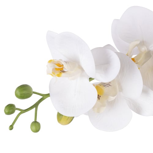 56cm Potted Faux Phalaenopsis Orchid