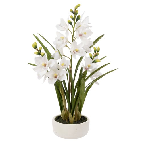 74cm Potted Faux Cymbidium Orchid
