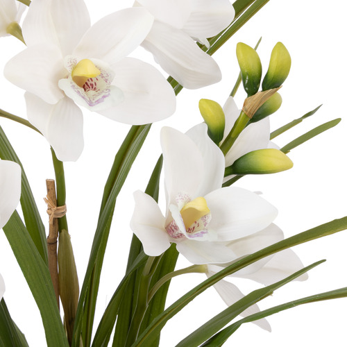 74cm Potted Faux Cymbidium Orchid