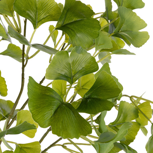 73cm Faux Gingko with Ceramic Vase